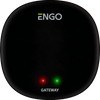 EGATEZB